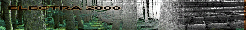 Dragonfly Descending - HUM Electra 2000 header art